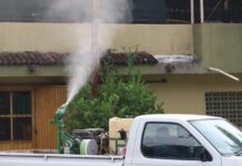 Este viernes, fumigan contra el dengue en Colima, Villa de Álvarez, Tecomán y Manzanillo