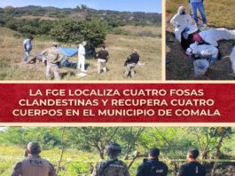 La FGE localizó cuatro fosas clandestinas y recupera cuatro cuerpos en Comala